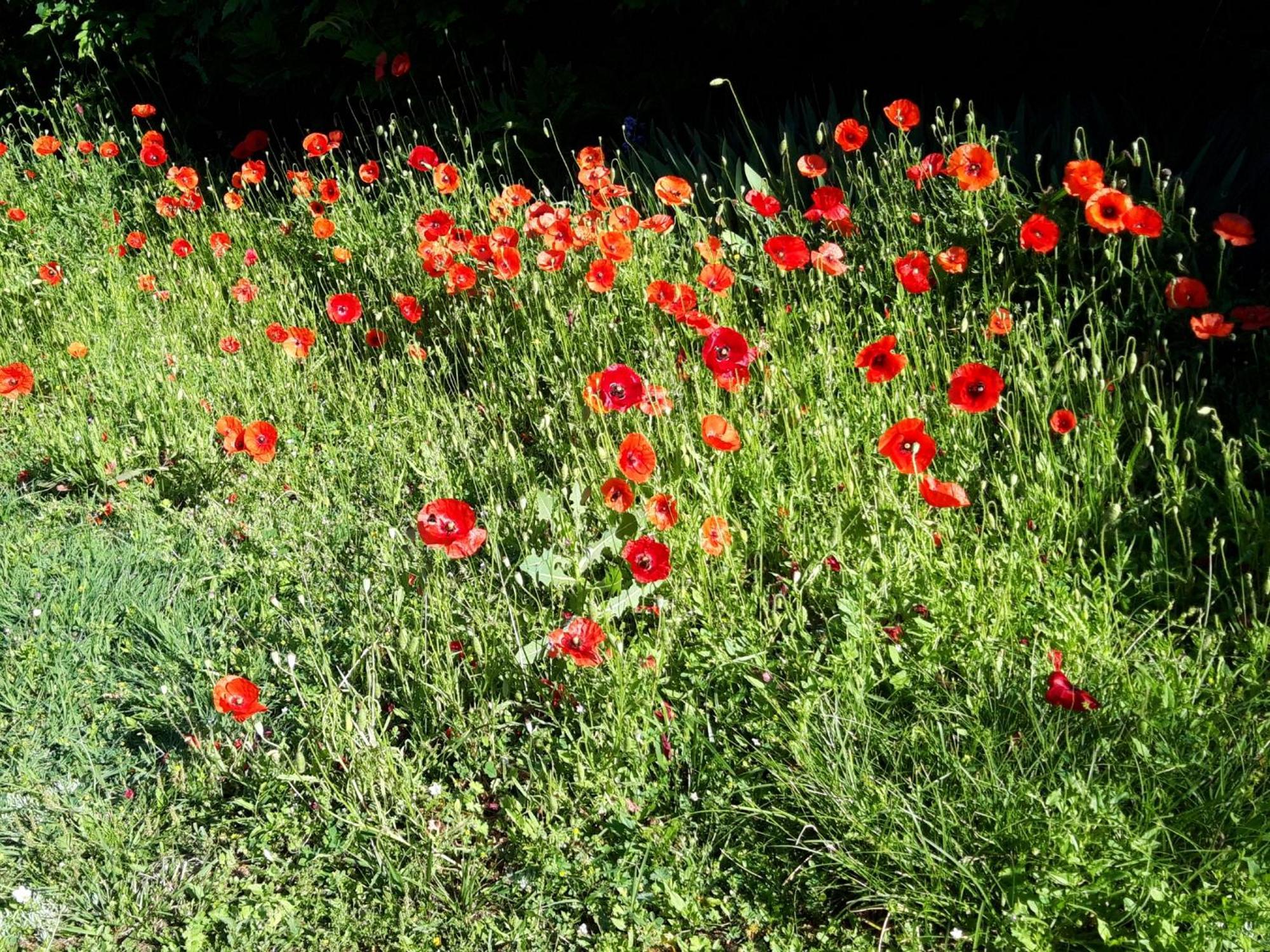 Bed and Breakfast La Passagere Hauterive  Zewnętrze zdjęcie